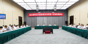 谭洪恩：积极组织好第十八届 四川国际电力产业博览会